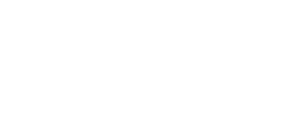 Berlitz